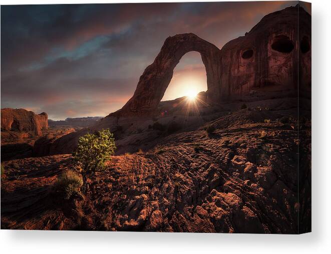 Usa Canvas Print featuring the photograph The Hidden Face by Carlos F. Turienzo