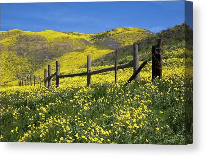 California Canvas Print featuring the photograph The Hills Are Alive by Cheryl Strahl