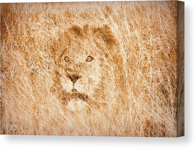 Lion Canvas Print featuring the digital art The King by Mark Allen