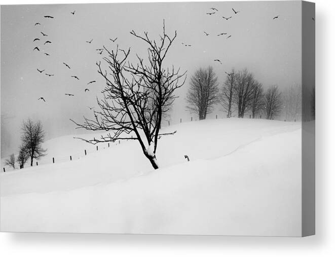 Winter Canvas Print featuring the photograph The Last Call by Marchevca Bogdan
