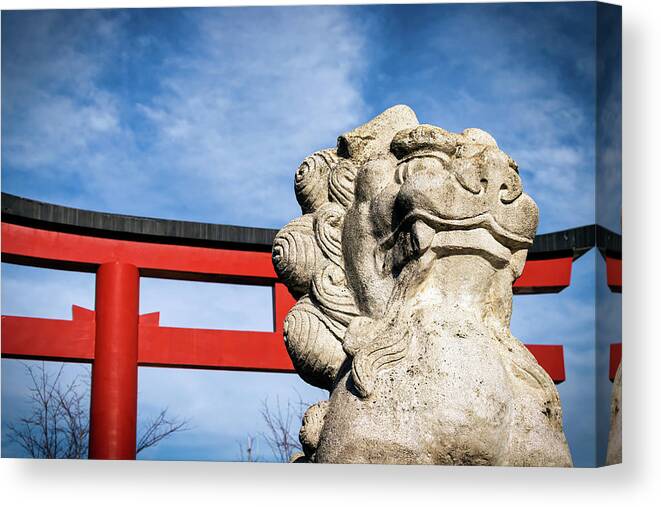 Asia Canvas Print featuring the photograph The Lion by Bill Chizek