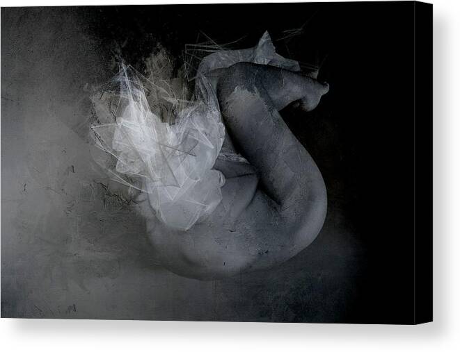 Mood Canvas Print featuring the photograph The Nude Abstraction by Olga Mest