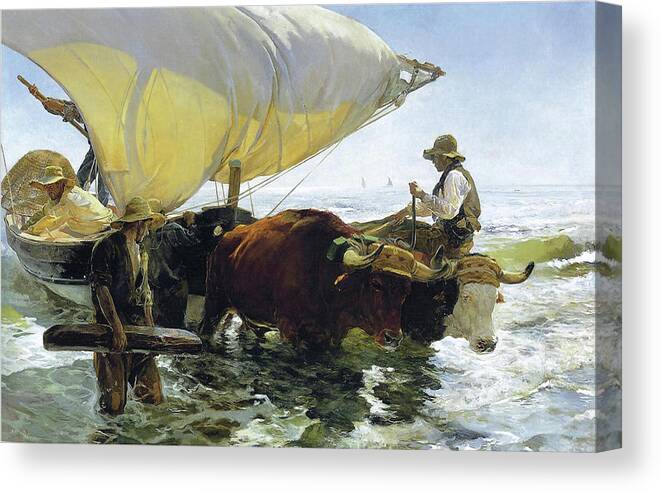 Return From Fishing Of 1905 Canvas Print featuring the painting The Return from Fishing of 1905 by Juaquin Sorolla