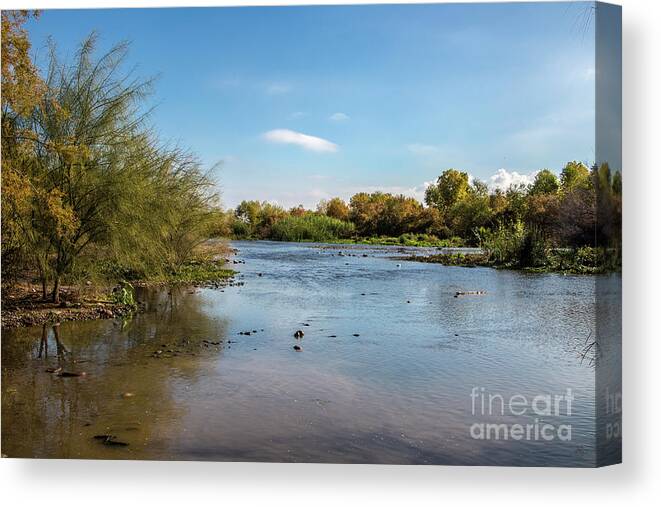Arizona Canvas Print featuring the photograph The Salt at Three Rivers by Kathy McClure