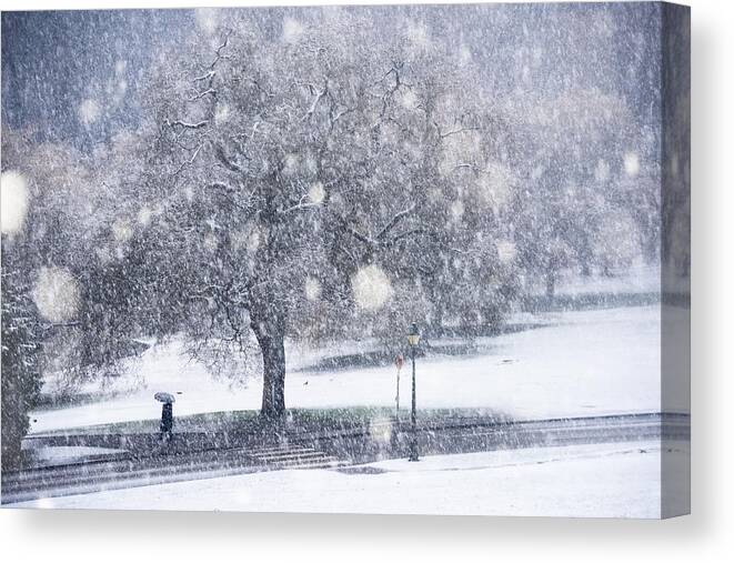 Snow Canvas Print featuring the photograph The Silhouette by Lucian Constantin