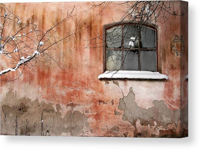 Wall Canvas Print featuring the photograph The Wall by Bror Johansson