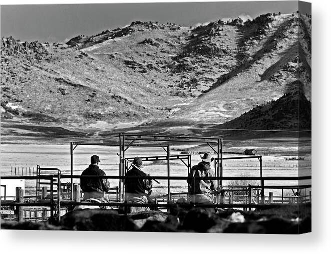 Ranch Canvas Print featuring the photograph Three Working Cowboys by Julieta Belmont