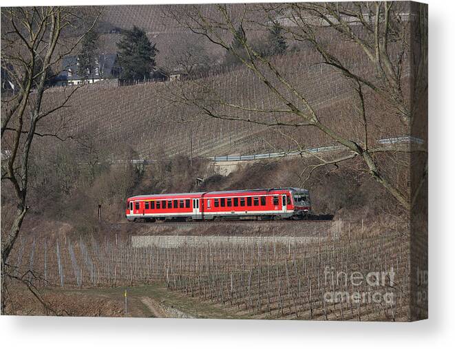 Deutsche Bahn Canvas Print featuring the photograph Through Winter Vineyards by Steve Ember