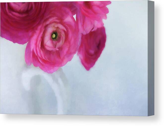 Rose Canvas Print featuring the photograph To Have and To Hold by Kim Hojnacki