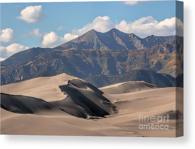 Dunes Canvas Print featuring the photograph Transitions by Jim Garrison