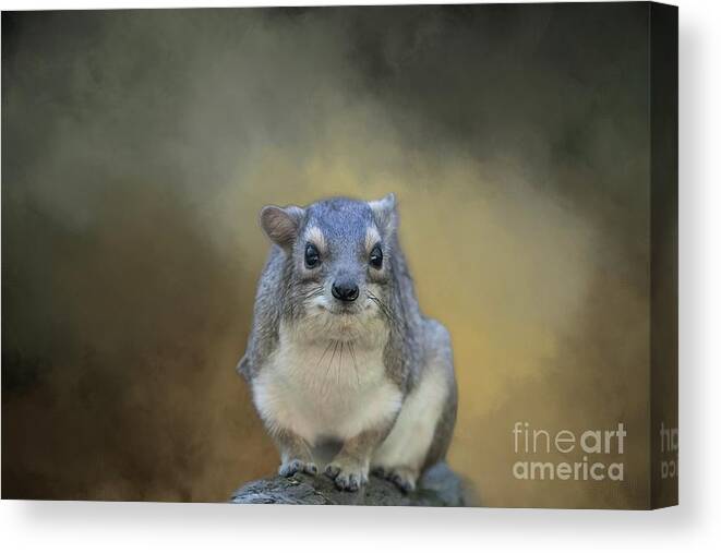 Tree Hyrax Canvas Print featuring the photograph Tree Hyrax by Eva Lechner