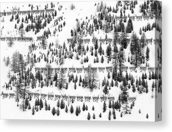 Winter Canvas Print featuring the photograph Trees And Fences by Uschi Hermann