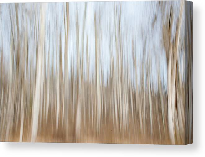 Blue Ridge Canvas Print featuring the photograph Trees on the Move by Mark Duehmig
