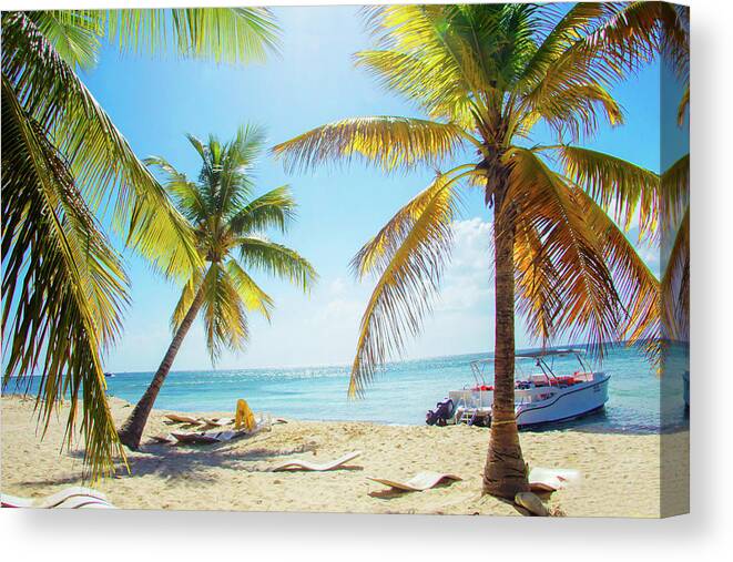 Tropical Canvas Print featuring the photograph Tropical Oasis by Emily Navas
