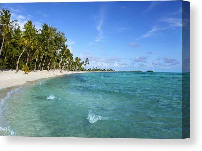 Tranquility Canvas Print featuring the photograph Tropical Tide by Steve Allen