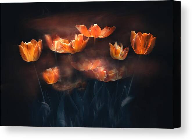 Tulips Canvas Print featuring the photograph Tulips In Motion by Catherine W.
