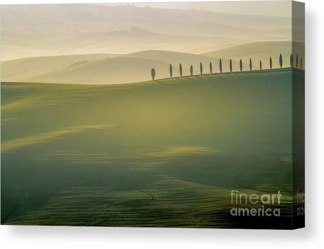 Landscape Canvas Print featuring the photograph Tuscany Landscape with Cypress Trees by Heiko Koehrer-Wagner