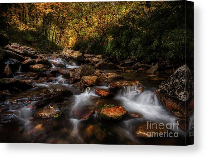Nature Canvas Print featuring the photograph Unamed Creek by Bill Frische