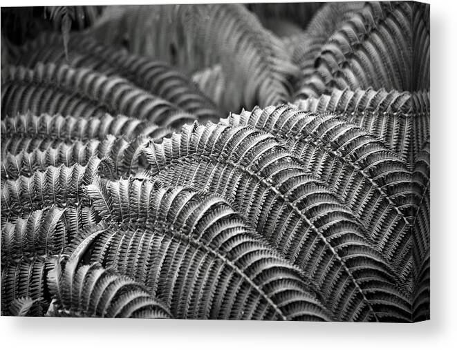 Undulation Canvas Print featuring the photograph Undulations by Heidi Fickinger