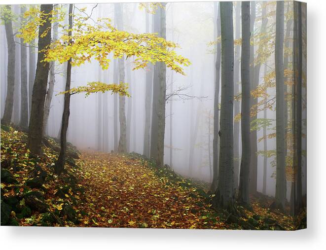 Landscape Canvas Print featuring the photograph Untitled by Martin Rak