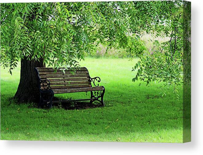 Bench Canvas Print featuring the photograph Unwind Under The Walnut Tree by Debbie Oppermann
