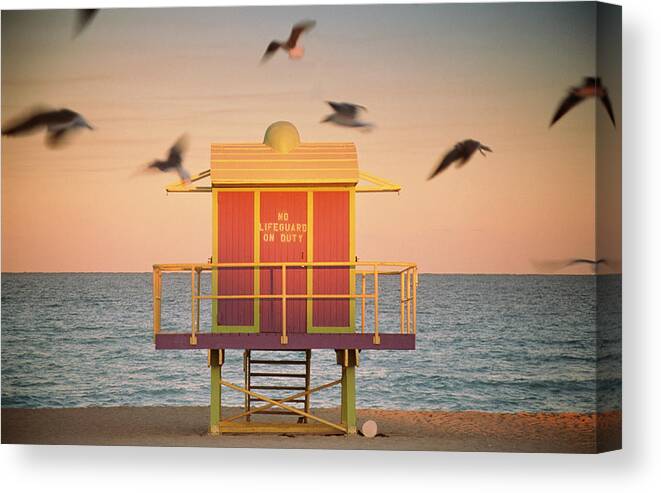 Outdoors Canvas Print featuring the photograph Usa, Florida, Miami, South Beach, Gulls by Peter Adams