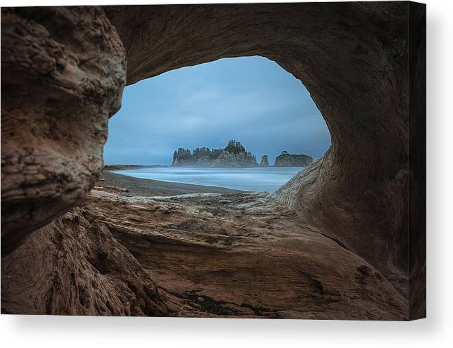 Rialto Canvas Print featuring the photograph View From A Hollow Tree by Lydia Jacobs