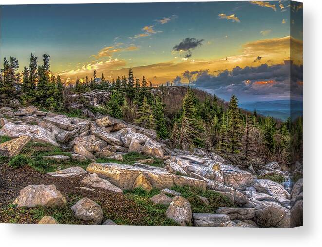 Landscapes Canvas Print featuring the photograph View from Dolly Sods 4714 by Donald Brown