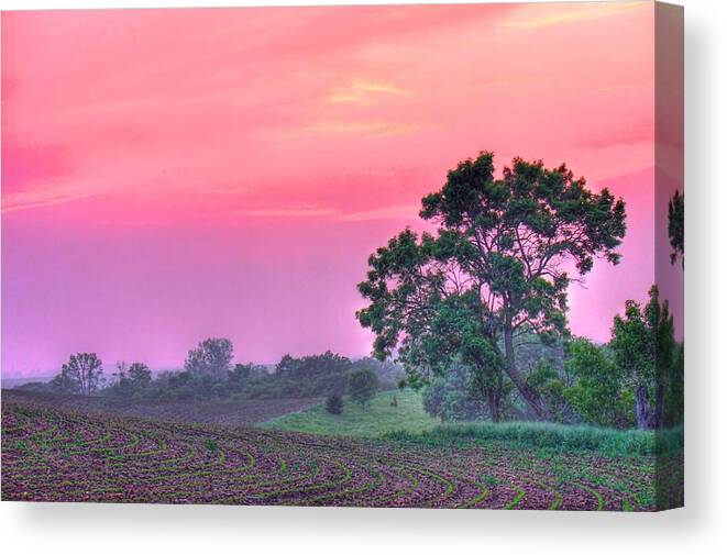 Tranquility Canvas Print featuring the photograph View Of Farmland by Images By Mazz