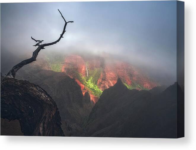 Waimea Canvas Print featuring the photograph Waimea Canyon by Tor-Ivar Naess