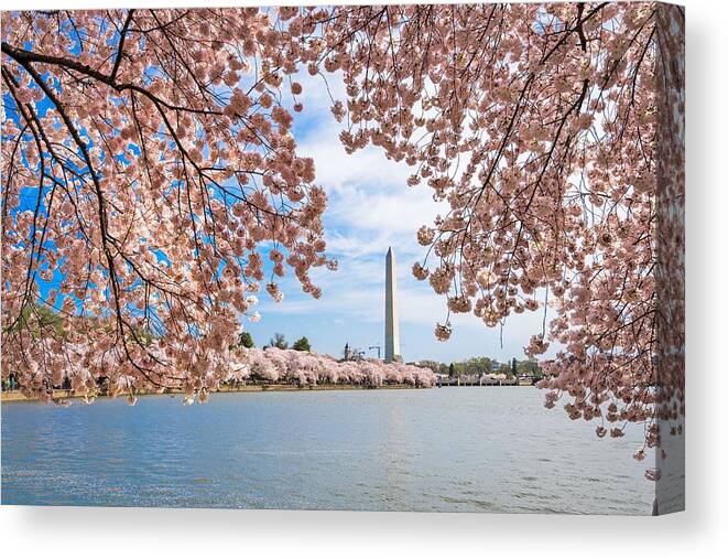 Trees Canvas Print featuring the photograph Washington Dc, Usa At The Tidal Basin by Sean Pavone