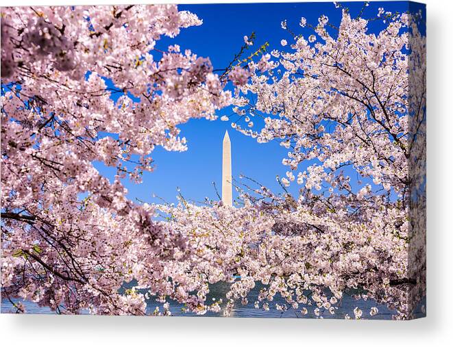 Trees Canvas Print featuring the photograph Washington, D.c. View Of Washington by Sean Pavone