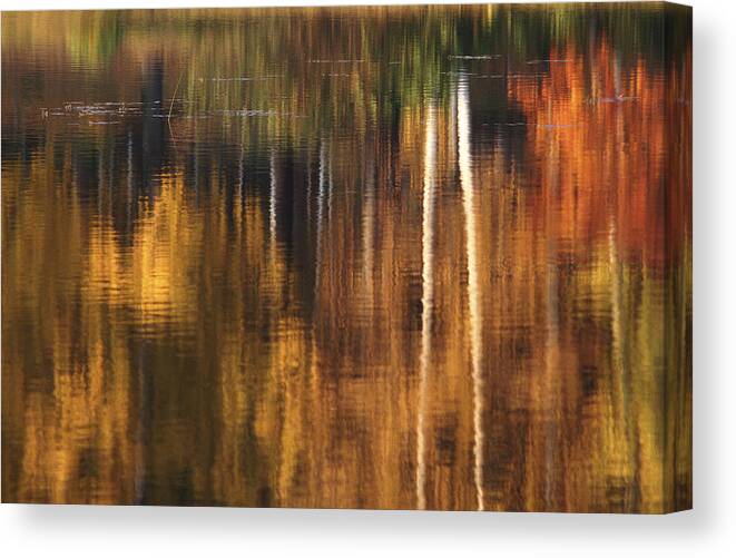Autumn Canvas Print featuring the photograph Water Art by Bror Johansson