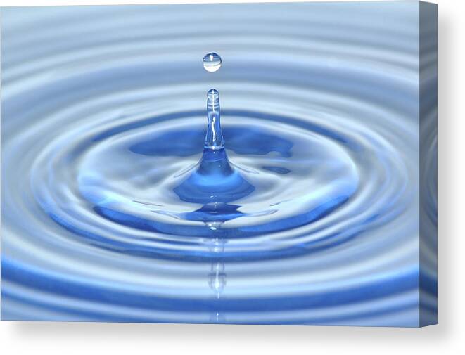 Hanging Canvas Print featuring the photograph Water Drop by Andrewjohnson