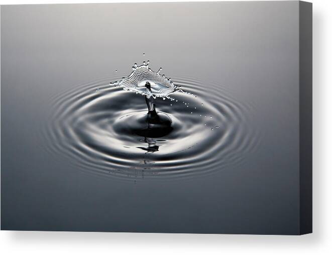 Emergence Canvas Print featuring the photograph Water Drop Collision And Ripples, Black by Kim Westerskov