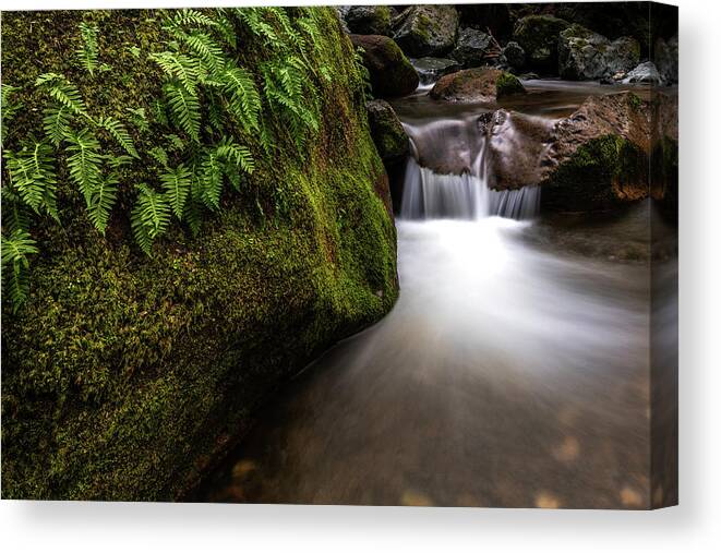 Waterfall Canvas Print featuring the photograph Solitude by Shelby Erickson