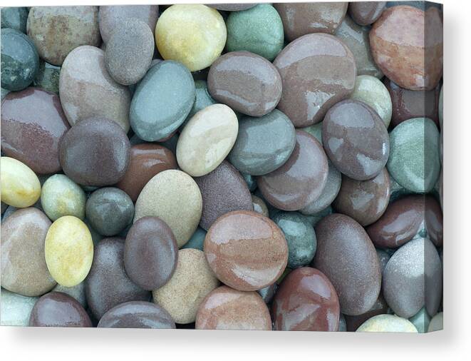 Large Group Of Objects Canvas Print featuring the photograph Wet Shiny Granite Pebbles On Beach by Rosemary Calvert