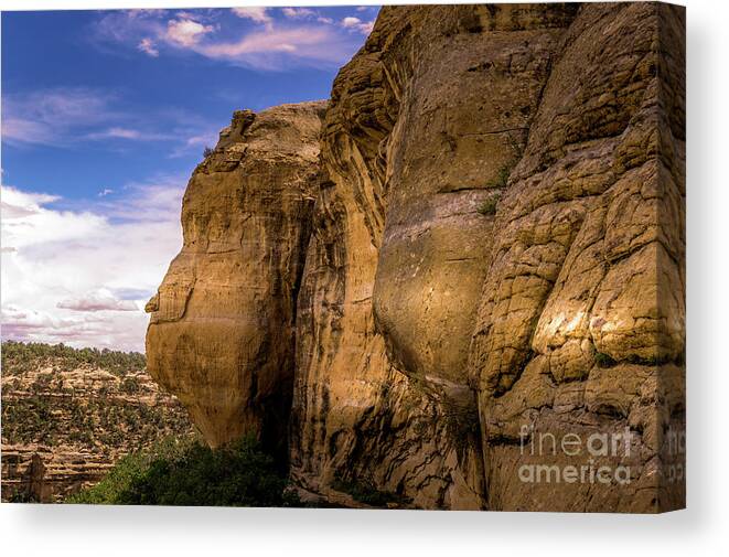 Ancient Canvas Print featuring the photograph Wetherill Mesa Trail by Blake Webster