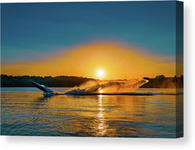 Action Canvas Print featuring the photograph Wheelie on the Water by Robert FERD Frank