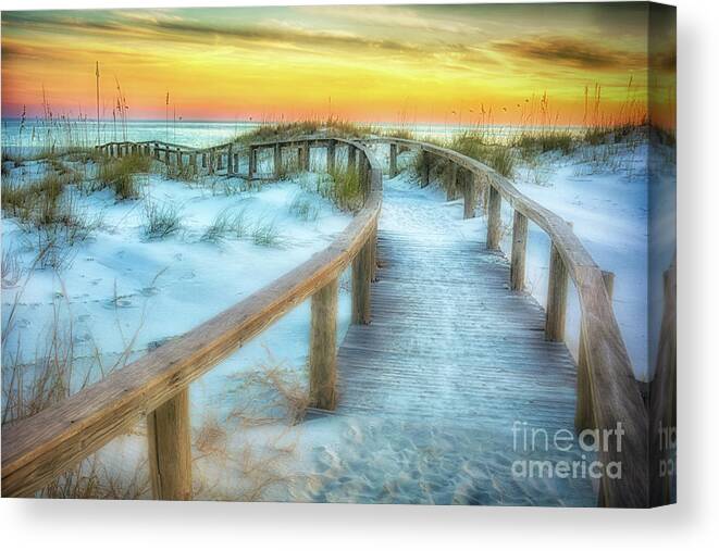 Alabama Canvas Print featuring the photograph Where The Path Leads by Ken Johnson