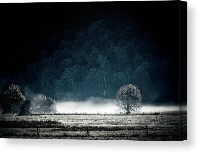 Landscape Canvas Print featuring the photograph White Mist by Philippe Sainte-Laudy