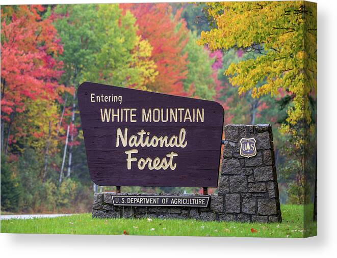 Sign Canvas Print featuring the photograph White Mountain National Forest by White Mountain Images