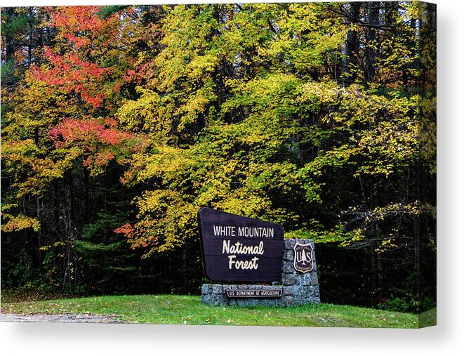 Autumn New Hampshire Canvas Print featuring the photograph White Mountain National Forest New Hampshire by Jeff Folger
