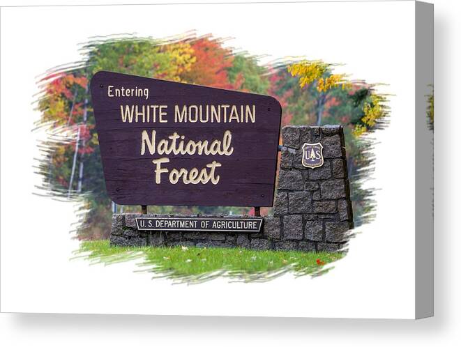 White Canvas Print featuring the photograph White Mountain National Forest Cutout by White Mountain Images
