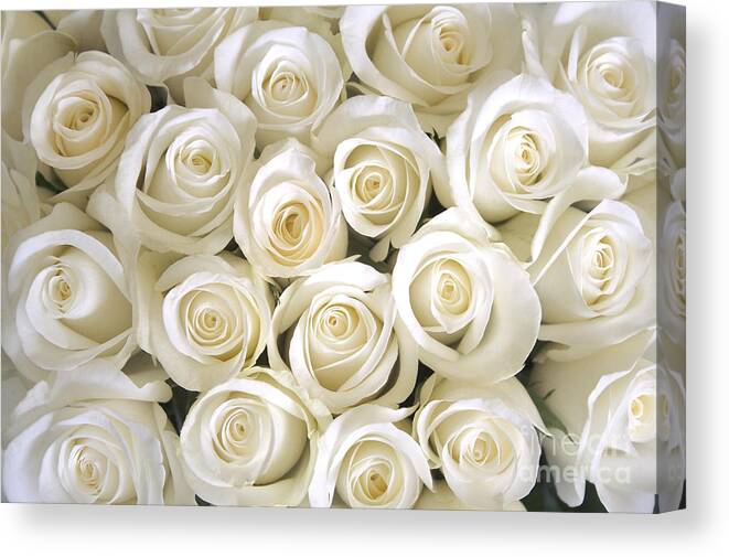 Birthday Canvas Print featuring the photograph White Roses Background by Ev Thomas