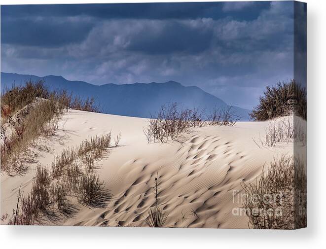 Whites Sands National Monument Canvas Print featuring the photograph Whites Sands National Monument #2 by Blake Webster
