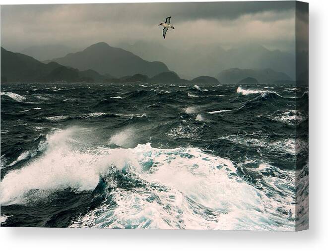 Tranquility Canvas Print featuring the photograph Wild South Fiordland by Downunderphotos