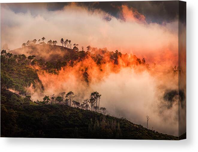 Landscape Canvas Print featuring the photograph Wildfire by Adrian Popan