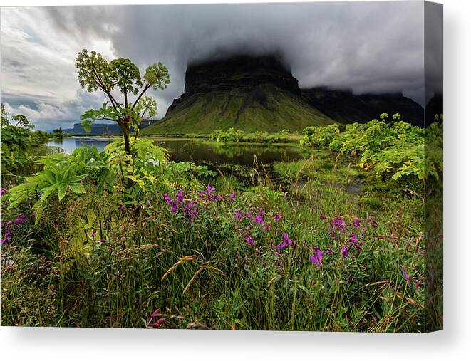 Scenics Canvas Print featuring the photograph Wildflowers Growing In Remote Field by Pixelchrome Inc