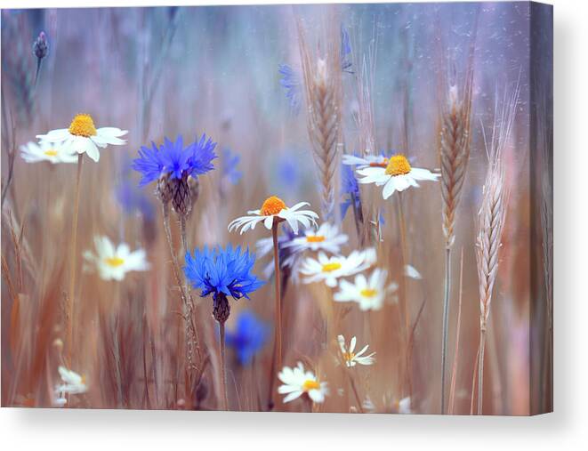 Flowers Canvas Print featuring the photograph Wildflowers by Magda Bognar